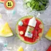 BIBO煙油 小煙煙油 30ML/0mg 經典款 台灣電子煙批發