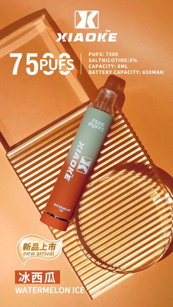xiaoke 7500 puffs 梟客一次性電子煙 大容量拋棄式煙桿