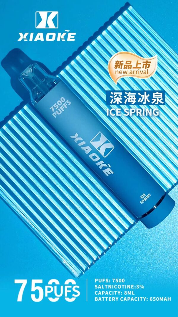 xiaoke 7500 puffs 梟客一次性電子煙 大容量拋棄式煙桿