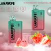 LANA TREND 6000 PUFFS LANA一次性6000口拋棄式電子煙
