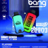 Bang 20000 Puffs Dual Mesh 雙網拋棄式電子煙