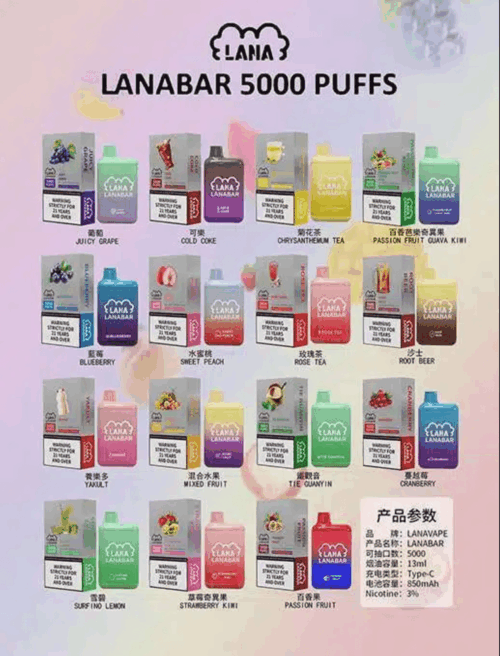 LANA拋棄式5000口電子煙/一次性電子煙/可充電/台灣現貨 24h出貨