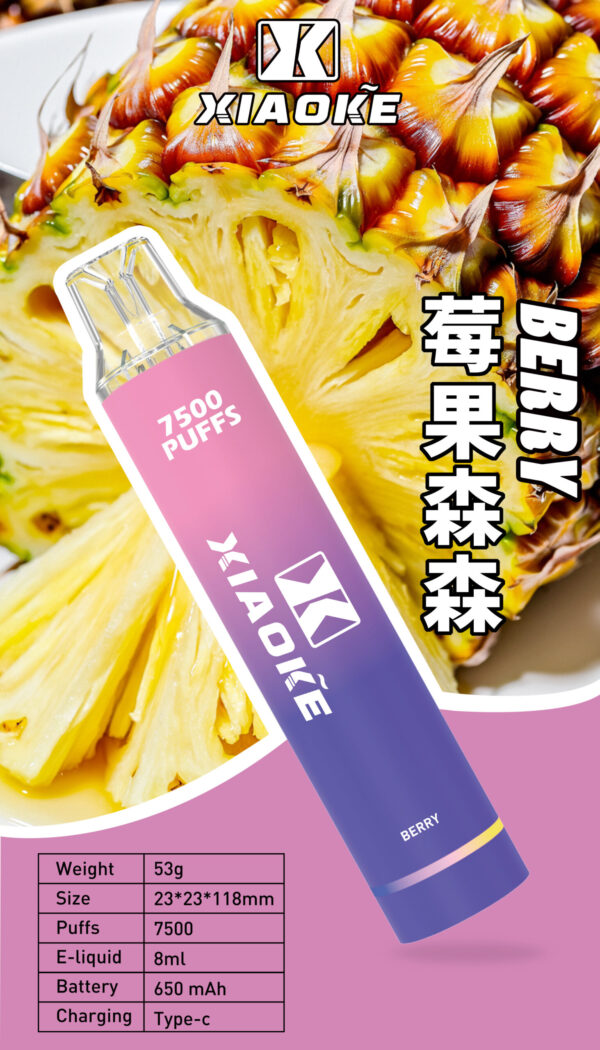 xiaoke 7500 puffs 梟客一次性電子煙 大容量拋棄式煙桿