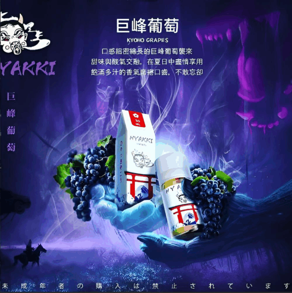 【小煙油】HYAKKI（哈亞齊）30ML/35mg 日系進口煙油 台灣現貨 711到付